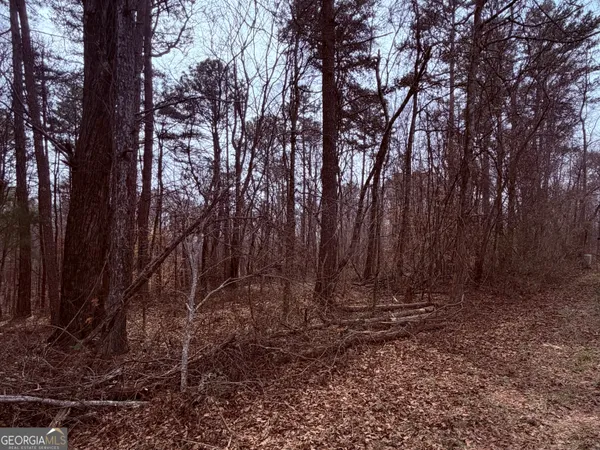 a view of backyard with large trees
