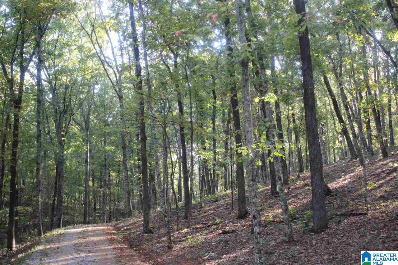 644 Washboard Road, Unit LOT 1 Columbiana, AL 35051 - Photo 8 of 9
