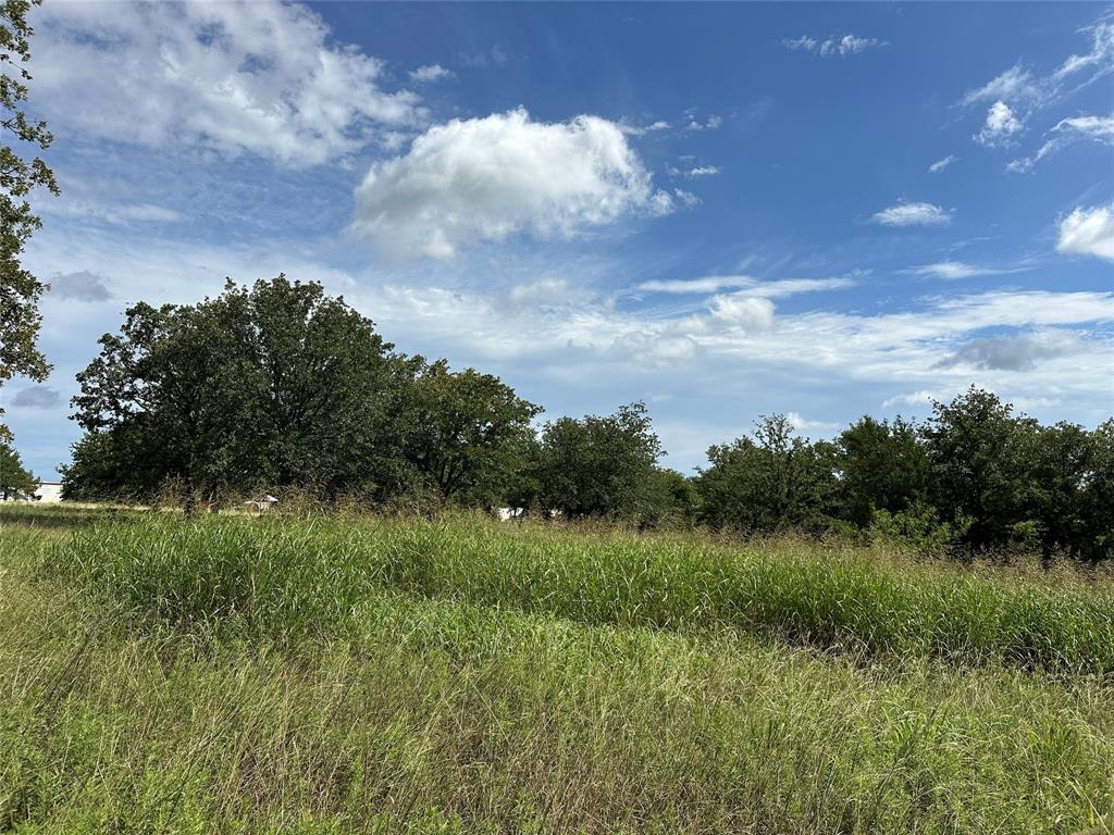 570 Big Salty Lane Springtown, TX 76082 - Photo 22 of 36 Expansive grassy terrain featuring established trees and a distant structure