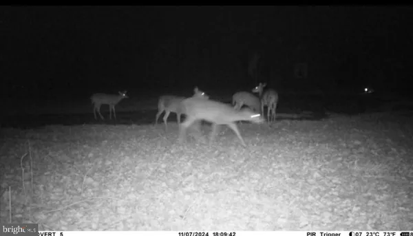 $500,000 | 10727 Seahawk Road, Berlin, MD 21811