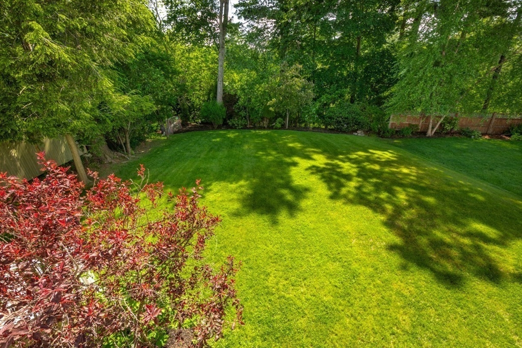 39 Lawton Road Needham, MA 02492 - Photo 38 of 40