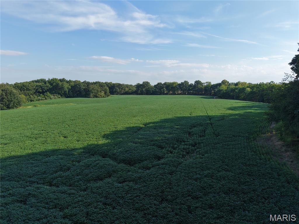 0 Wesbecher Road Ellis Grove, IL 62241 - Photo 2 of 25 Gallery Image 2