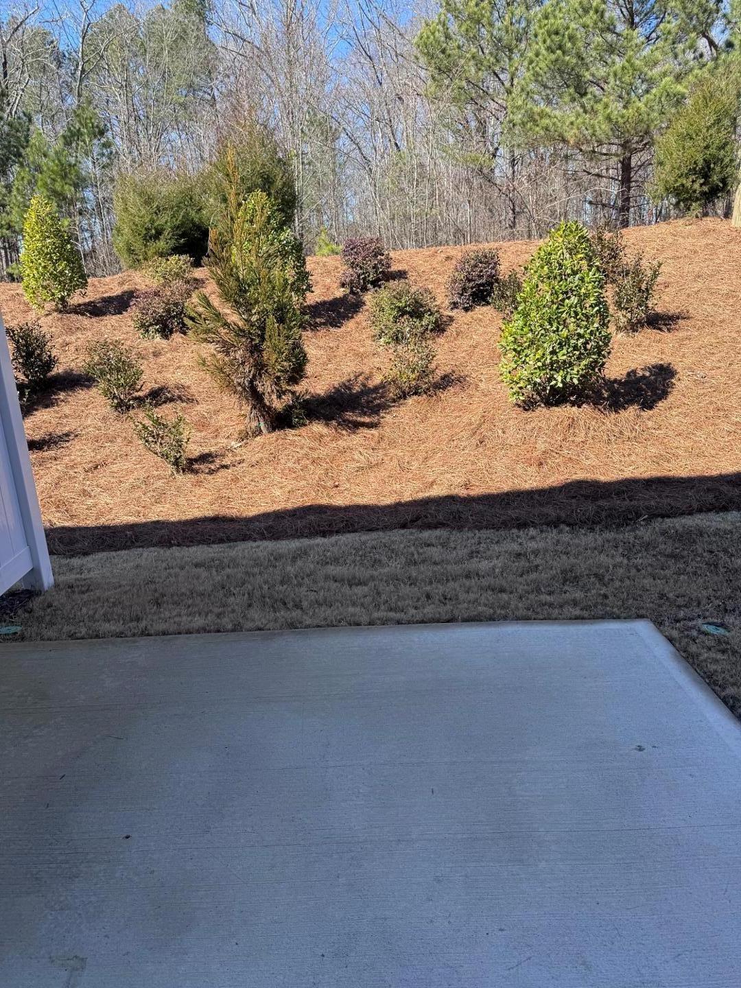 2002 Trailside Drive Durham, NC 27704 - Photo 14 of 14 a view of a tree with yard