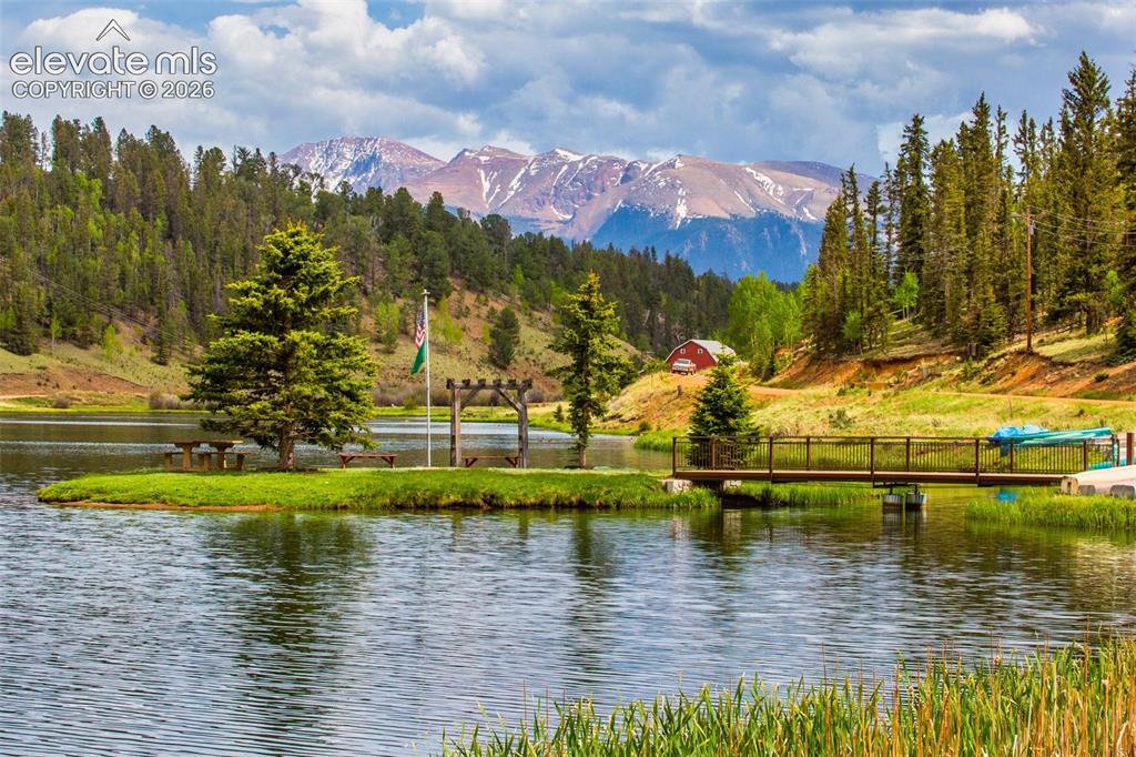 996 Spring Valley Drive Divide, CO 80814 - Photo 42 of 47 Stock Photo