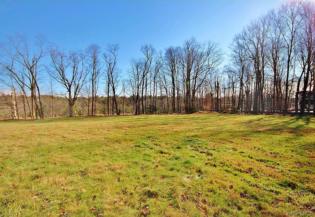 491 Hurd Road Swan Lake, NY 12783 - Photo 26 of 30