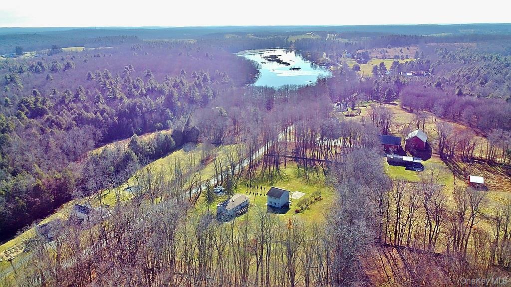 491 Hurd Road Swan Lake, NY 12783 - Photo 4 of 30 a view of a city