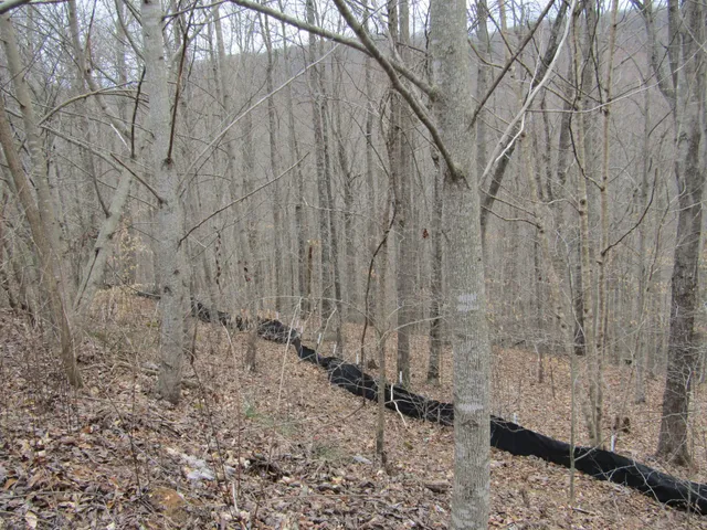 a wooden bench sitting in the middle of a yard