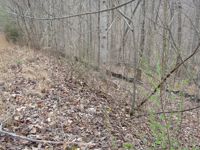 a view of wooden fence