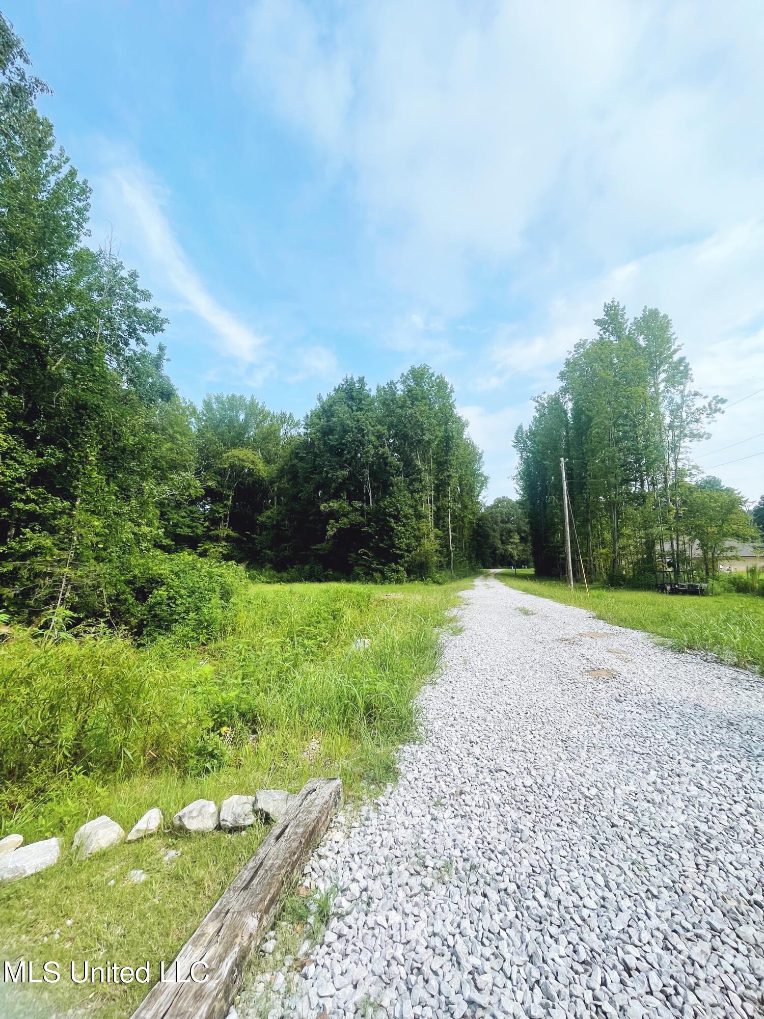 13371 Strickland Road Byhalia, MS 38611 - Photo 4 of 55 78176717-693A-4EE8-A419-11B17A1B5123
