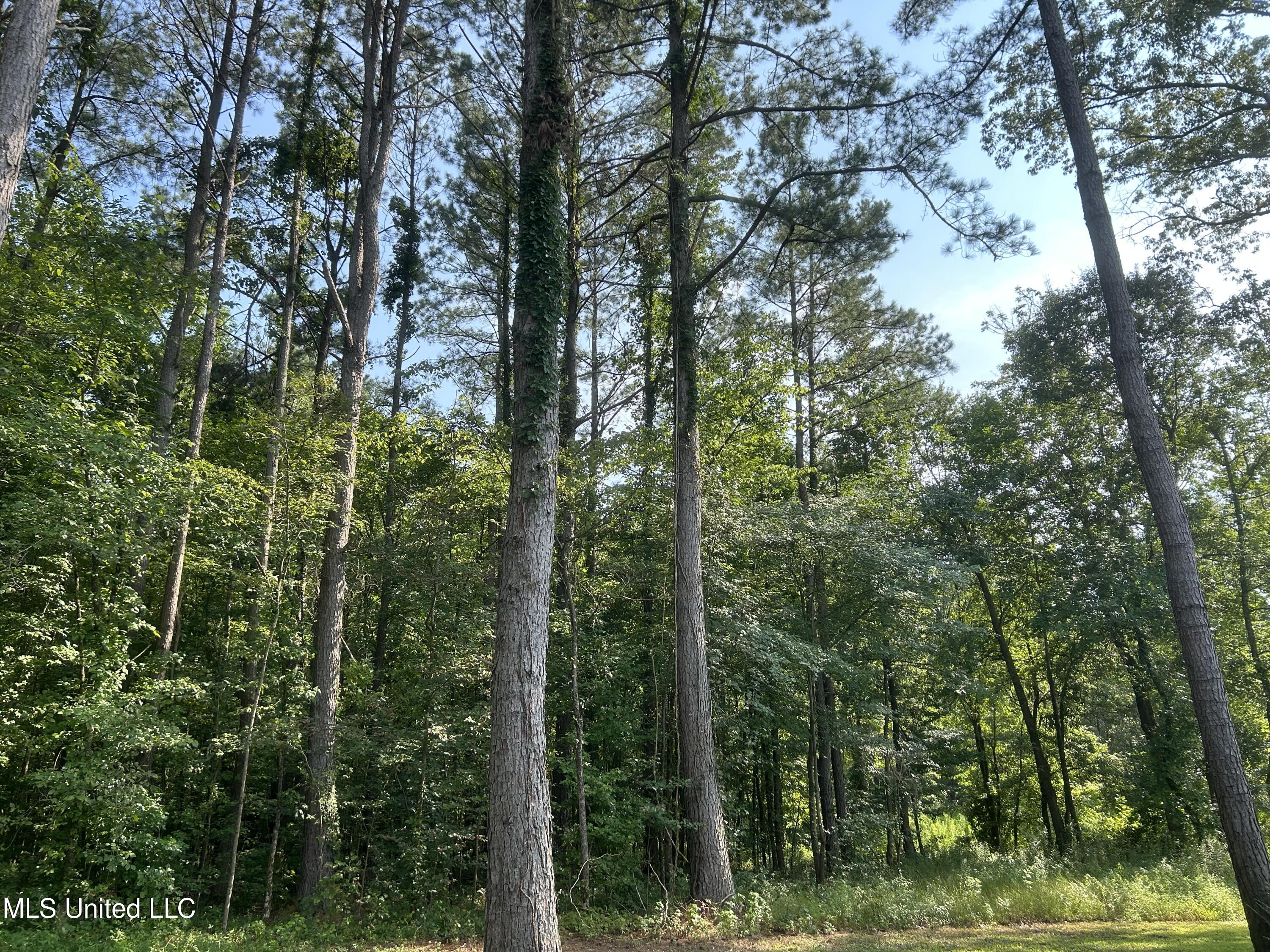 13371 Strickland Road Byhalia, MS 38611 - Photo 50 of 55 2FB92A59-D9B6-4B9D-A877-4CD8D5402E60