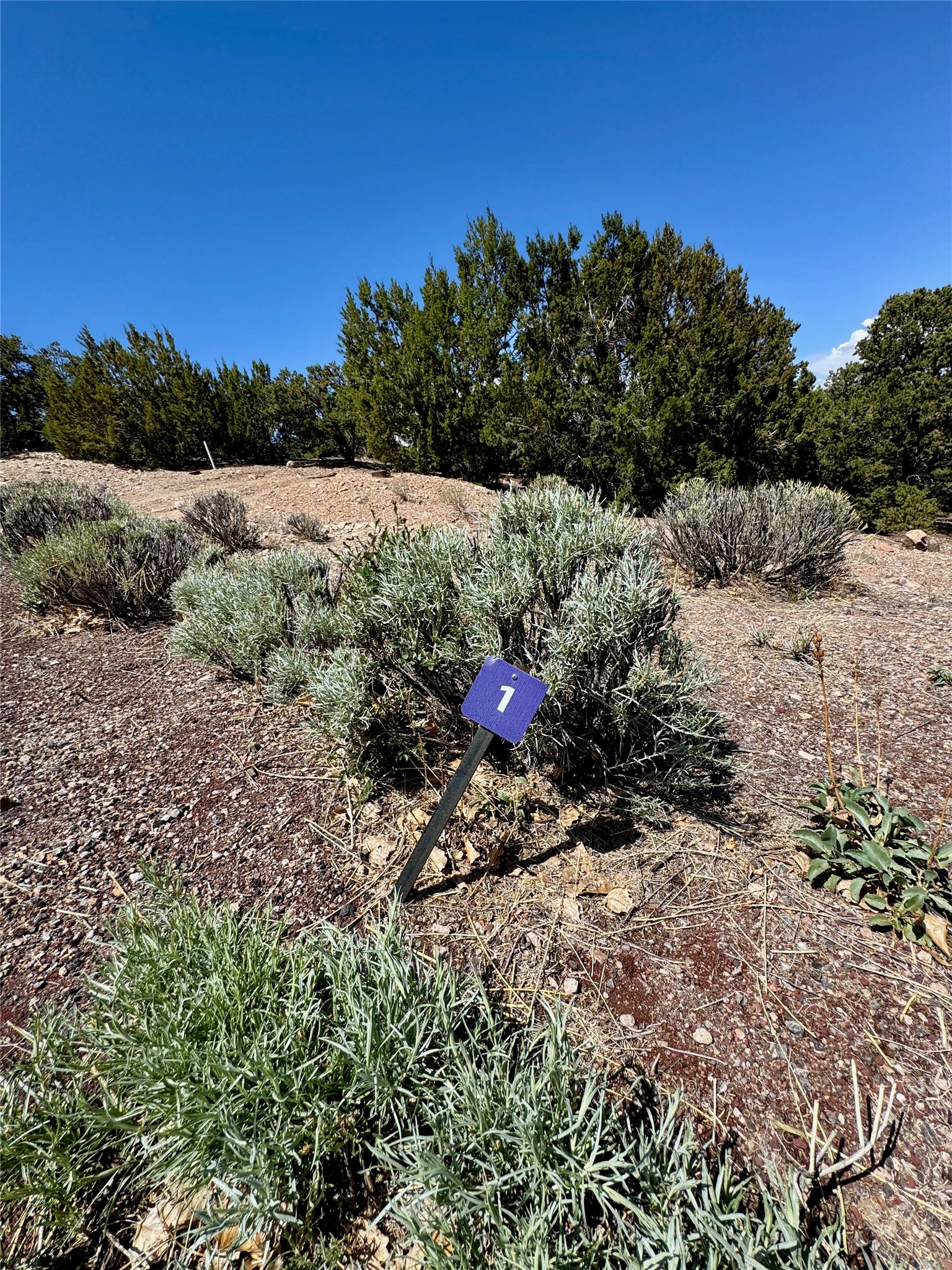 1083 South Summit Ridge, Unit LOT 3 Santa Fe, NM 87501 - Photo 23 of 70
