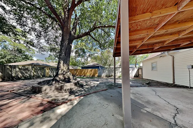 a view of a backyard with large tree