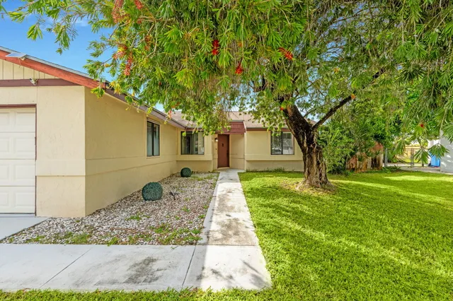 a view of a yard with plants and a large tree
