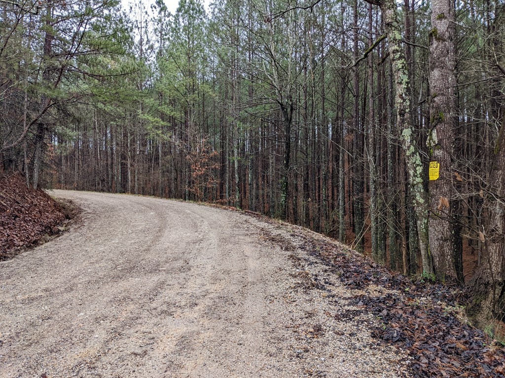 602 Dake Road Decatur, TN 37322 - Photo 3 of 17