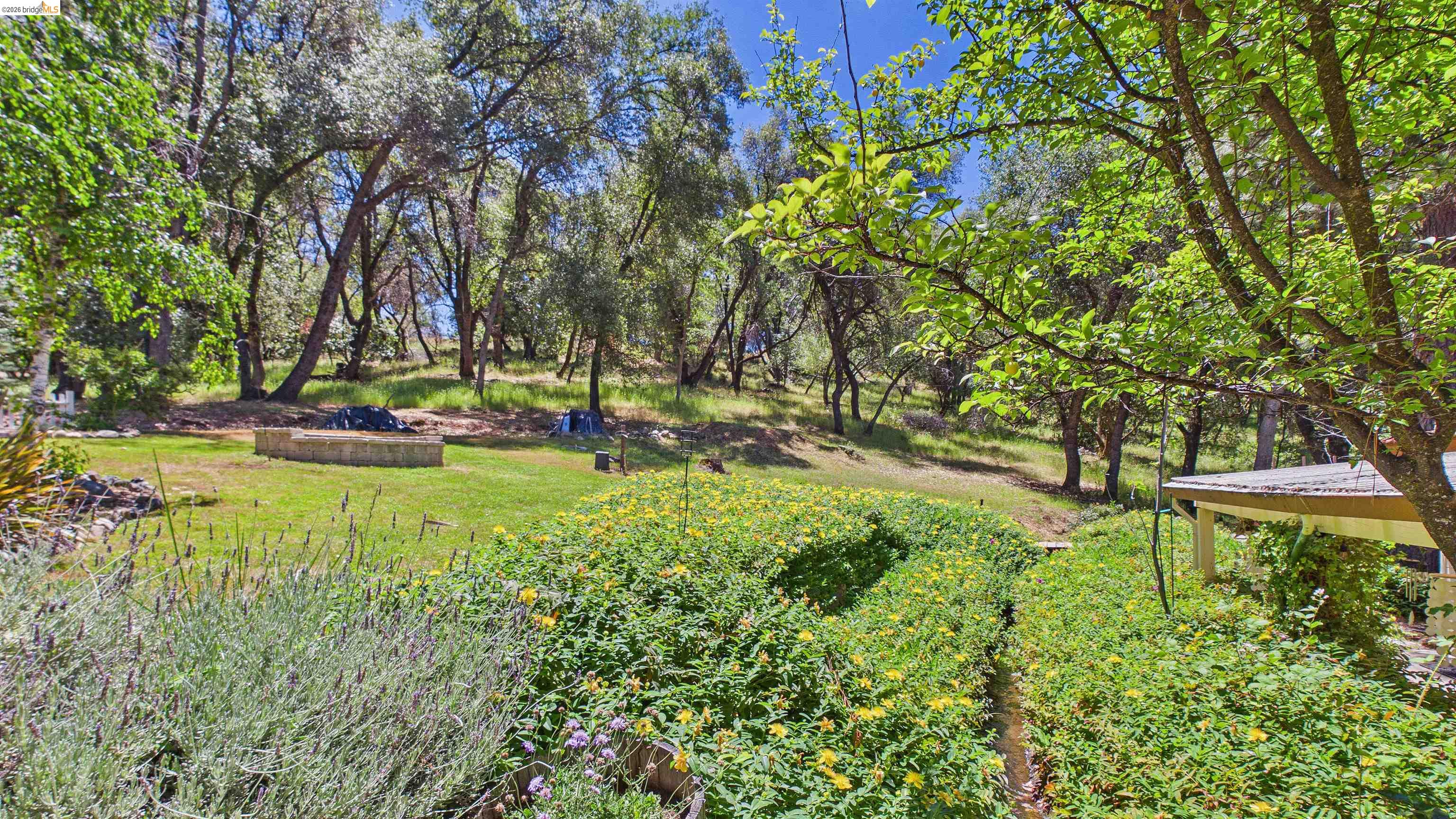 18102 Mt Eaton Road Tuolumne, CA 95379 - Photo 34 of 44 Expansive natural grounds featuring mature trees and a manicured lawn area