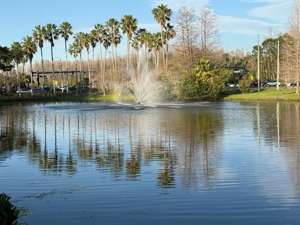 13572 Turtle Marsh Loop, Unit 212 Orlando, FL 32837 - Photo 20 of 20 a view of lake