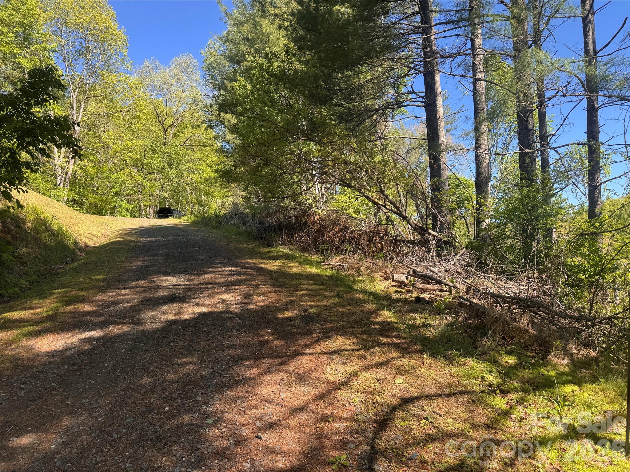 0 River Rock Road Warrensville, NC 28693 - Photo 14 of 15