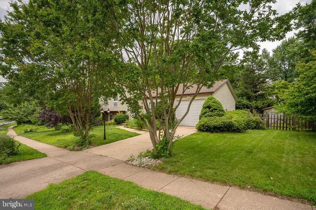 a view of a backyard with large trees