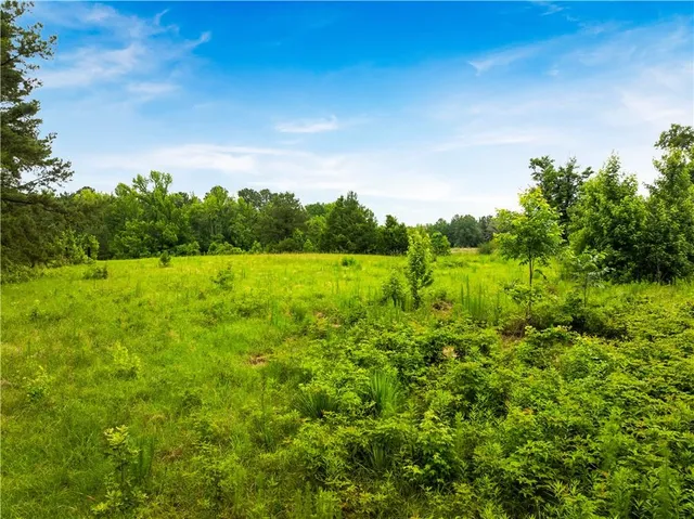 $265,000 | 138 Gilcrease Road, Montgomery, LA 71454