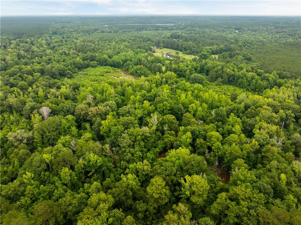 138 Gilcrease Road Montgomery, LA 71454 - Photo 18 of 34