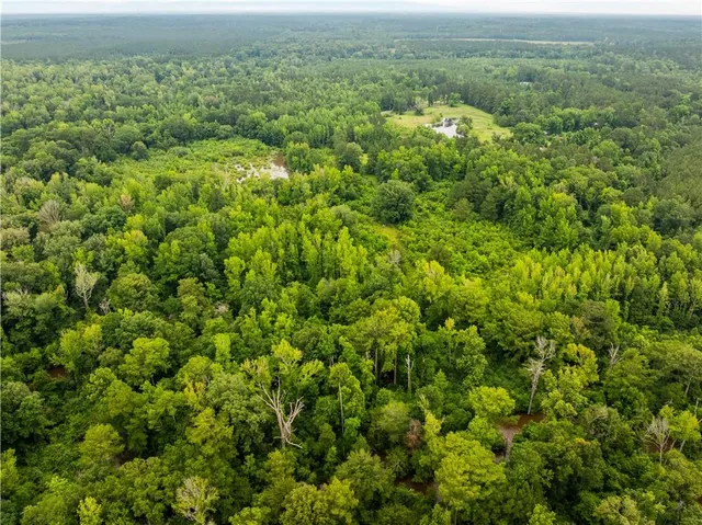 $265,000 | 138 Gilcrease Road, Montgomery, LA 71454