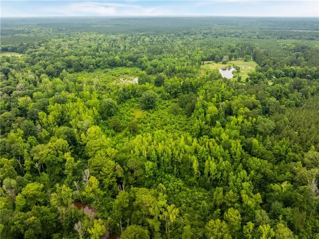 $265,000 | 138 Gilcrease Road, Montgomery, LA 71454