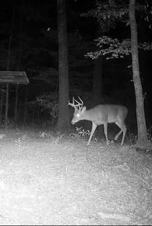 $265,000 | 138 Gilcrease Road, Montgomery, LA 71454