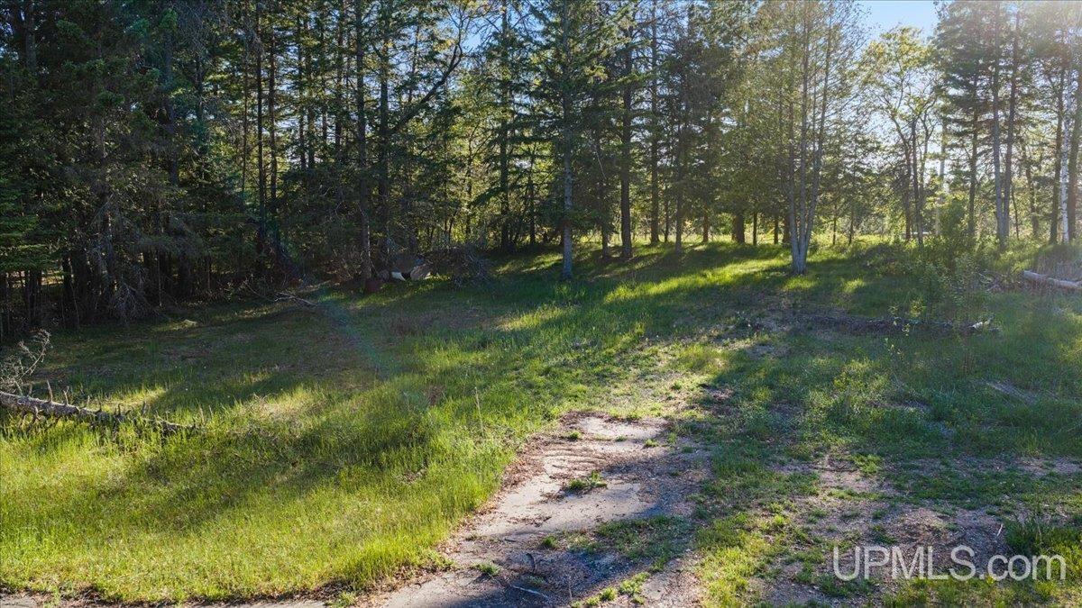 10367 V V.05 Road Rapid River, MI 49878 - Photo 12 of 16