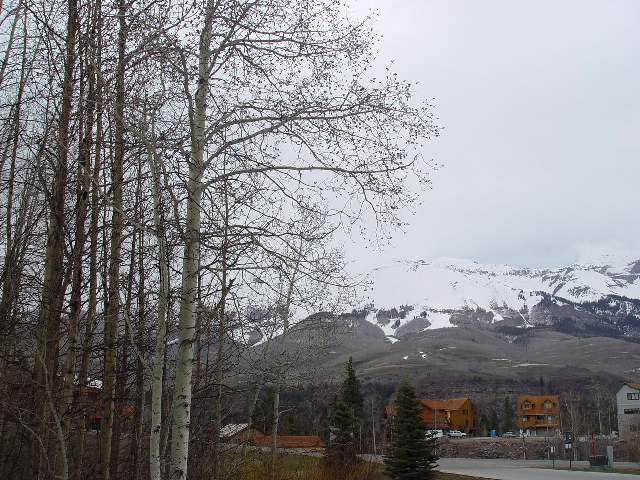 304 Adams Ranch Road, Unit 7 Mountain Village, CO 81435 - Photo 1 of 1 Primary Photo