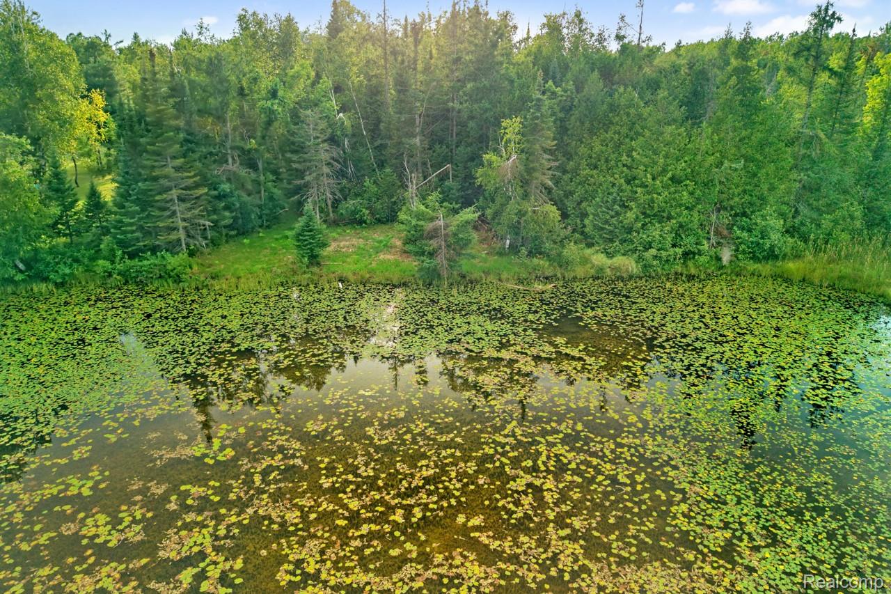 9720 East Kellyville Road Atlanta, MI 49709 - Photo 15 of 34 View of local wilderness featuring a large body of water