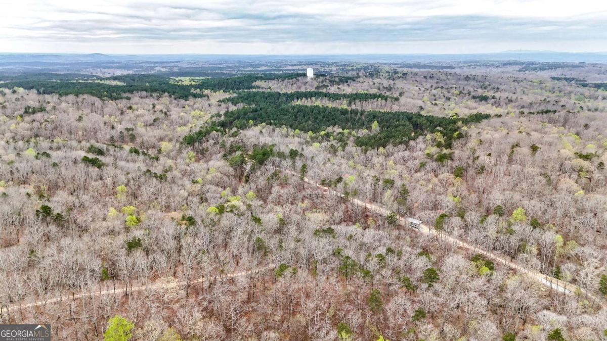 0 Felton Rockmart Road Buchanan, GA 30113 - Photo 41 of 47