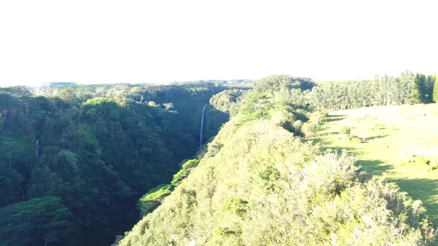 $730,000 | Kaiwiki Homestead Road, Papaikou, HI 96781