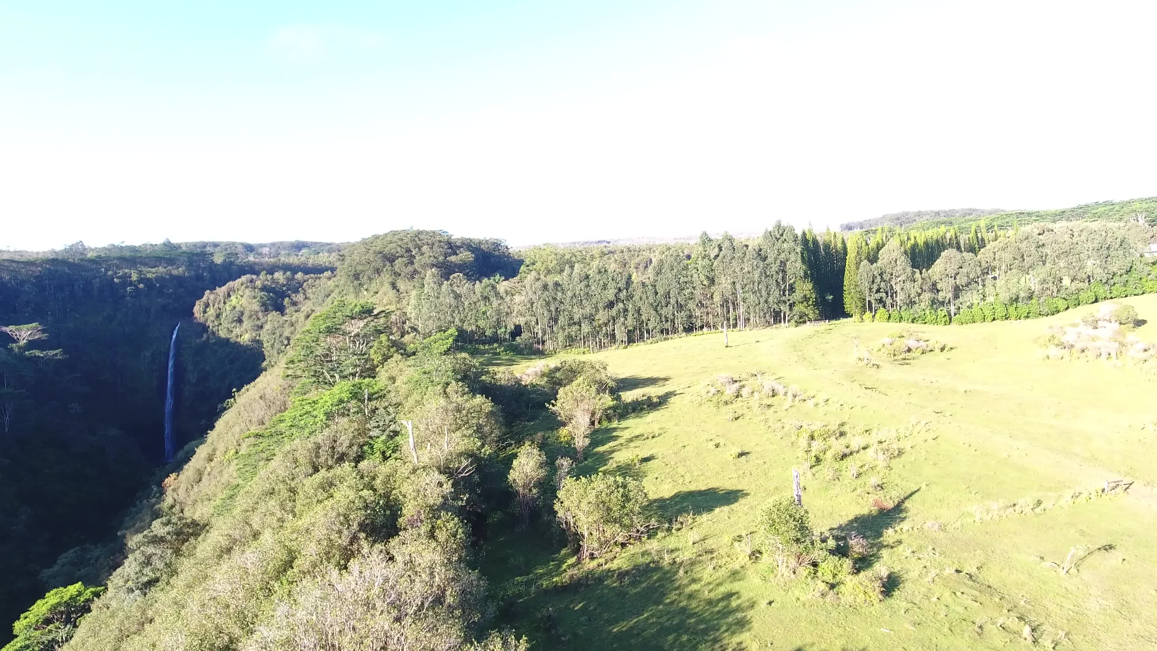 Kaiwiki Homestead Road Papaikou, HI 96781 - Photo 11 of 13