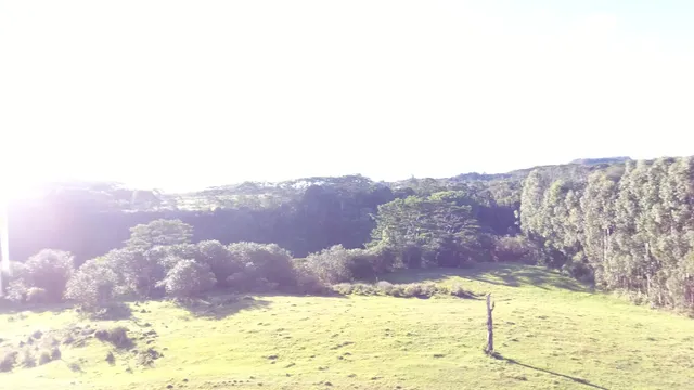 $730,000 | Kaiwiki Homestead Road, Papaikou, HI 96781