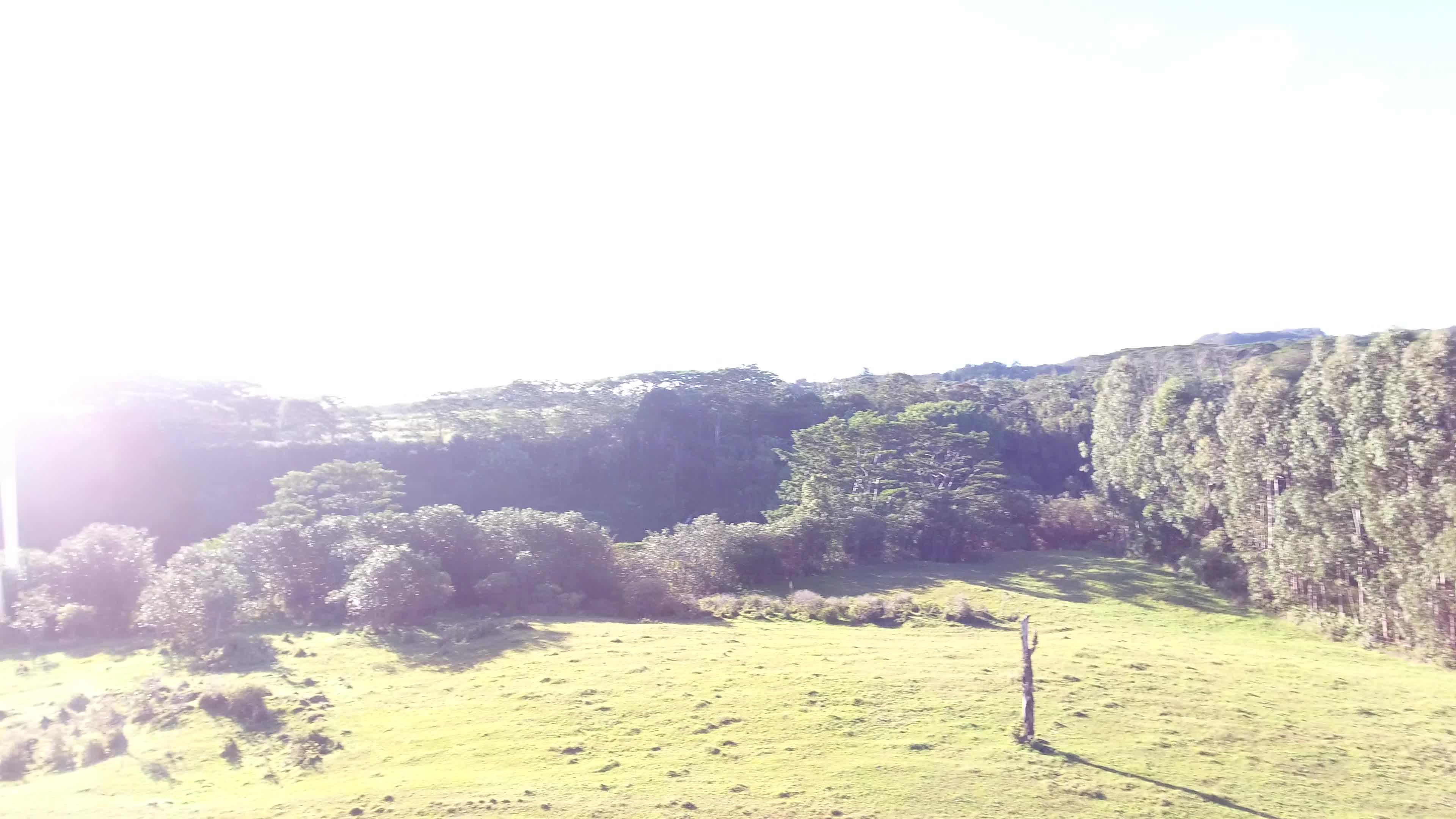 Kaiwiki Homestead Road Papaikou, HI 96781 - Photo 3 of 13