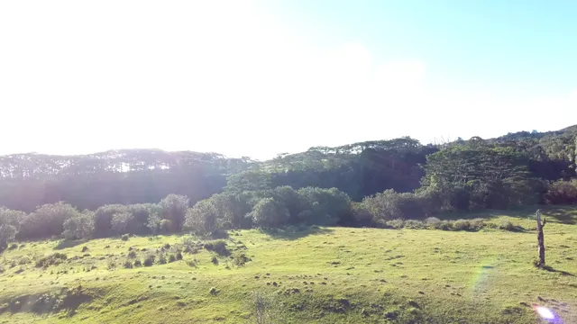 $730,000 | Kaiwiki Homestead Road, Papaikou, HI 96781