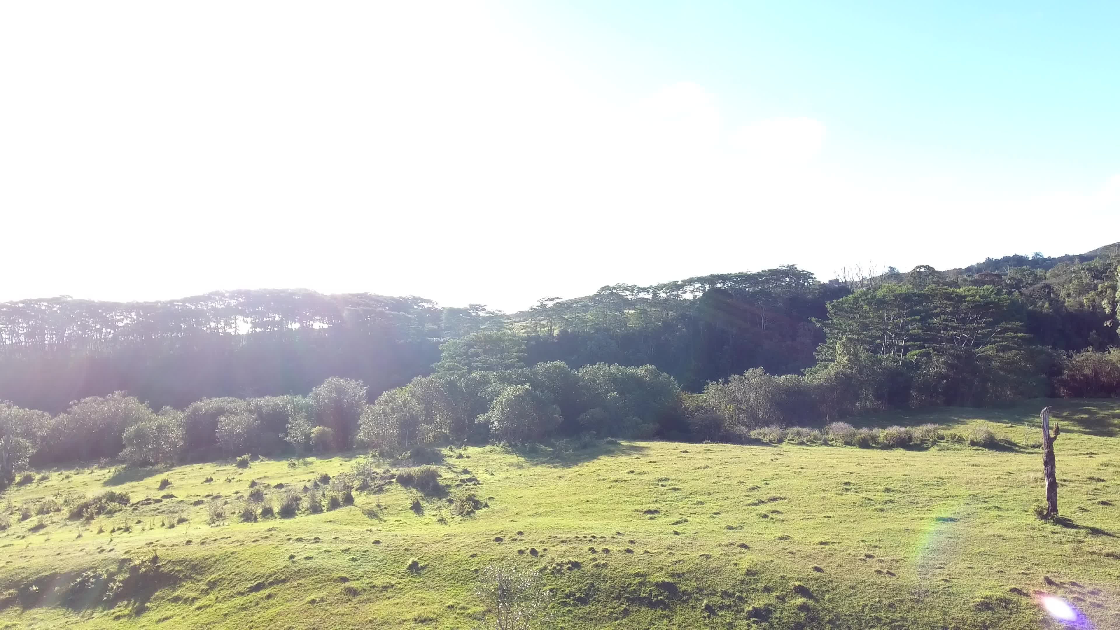 Kaiwiki Homestead Road Papaikou, HI 96781 - Photo 4 of 13