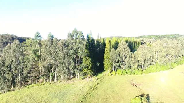 $730,000 | Kaiwiki Homestead Road, Papaikou, HI 96781