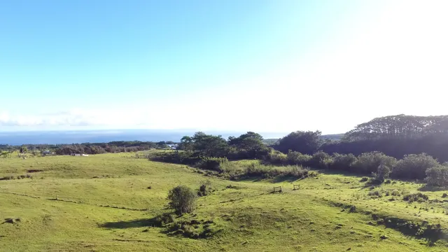 $730,000 | Kaiwiki Homestead Road, Papaikou, HI 96781