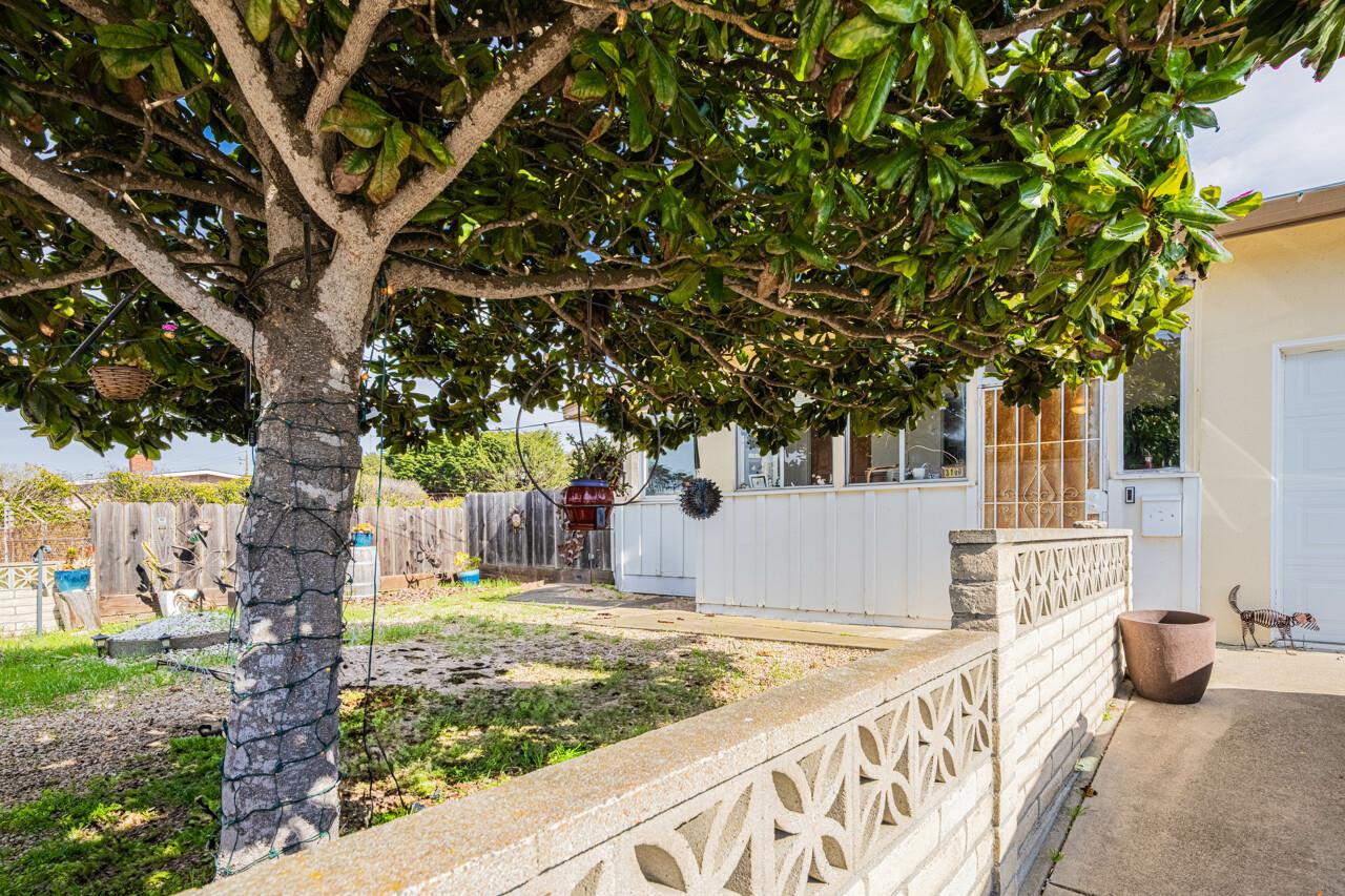 3100 Flower Circle Marina, CA 93933 - Photo 3 of 5 a view of a house with snow on the tree