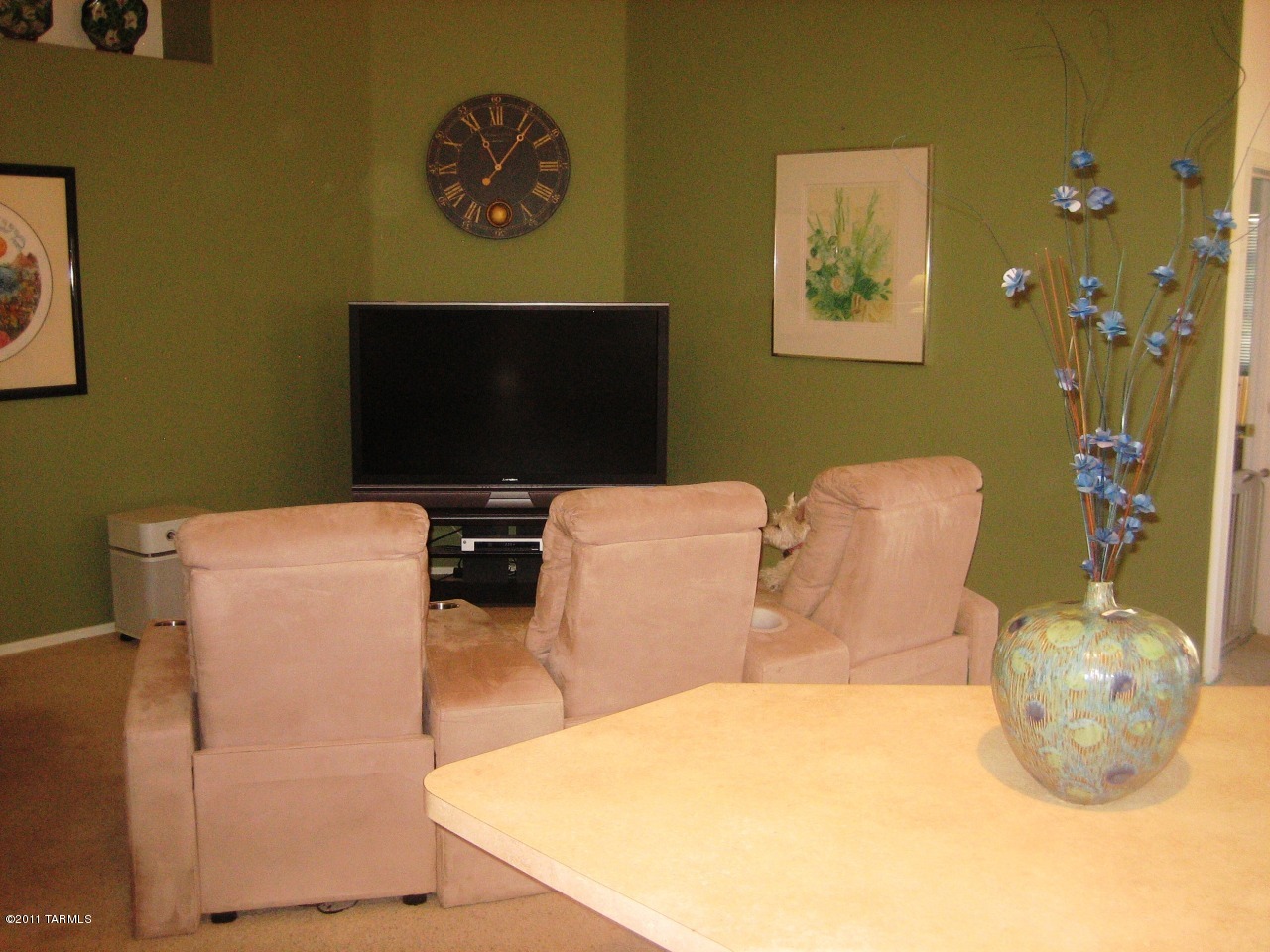 60390 Alpine Way Tucson, AZ 85739 - Photo 26 of 37