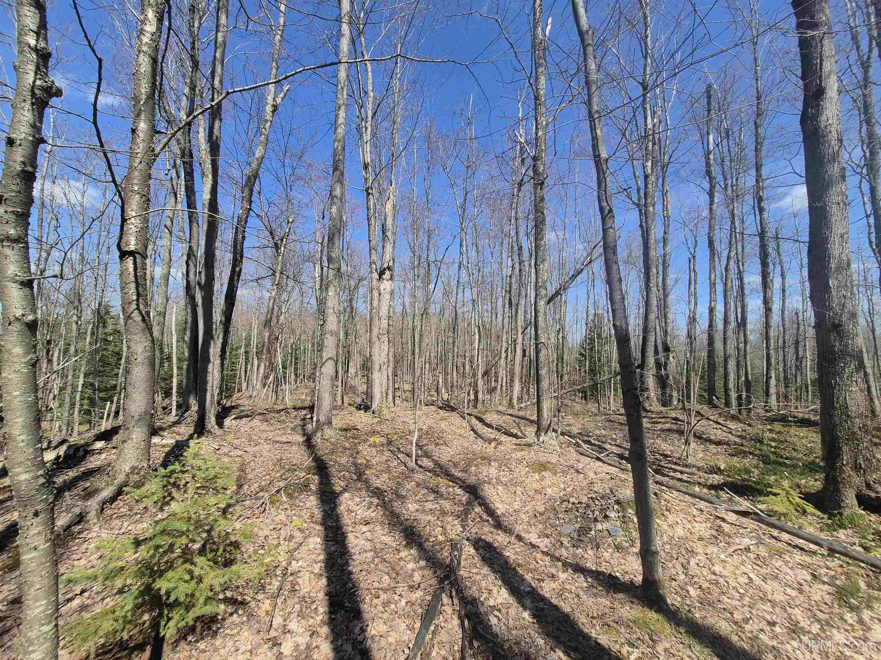 12-acres Salmon Road L'Anse, MI 49946 - Photo 22 of 39