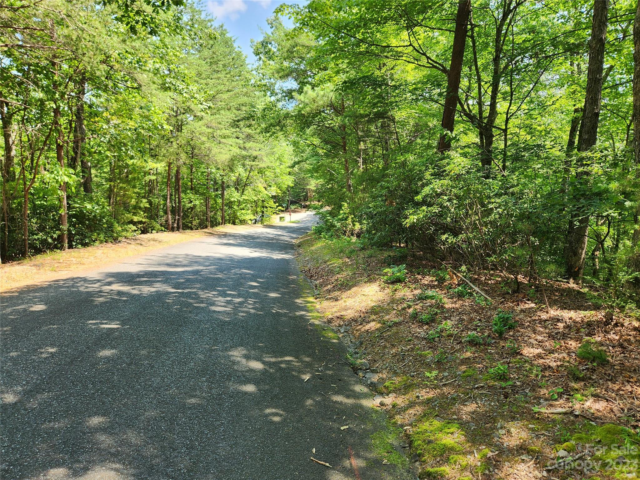 Lot 26-27 Rumbling Bald Road Lake Lure, NC 28746 - Photo 1 of 13 Gallery Image 1