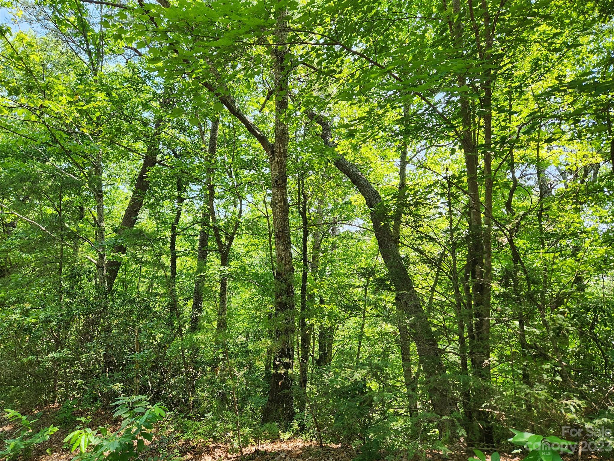 Lot 26-27 Rumbling Bald Road Lake Lure, NC 28746 - Photo 2 of 13 Gallery Image 2