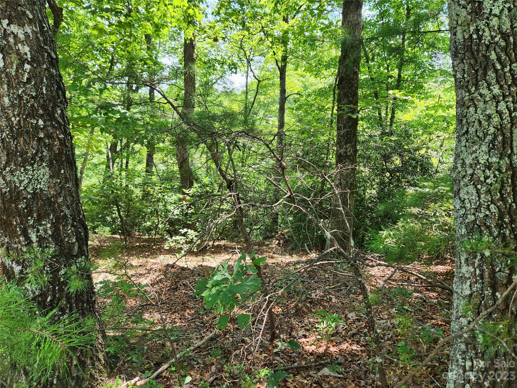 Lot 26-27 Rumbling Bald Road Lake Lure, NC 28746 - Photo 3 of 13 Gallery Image 3