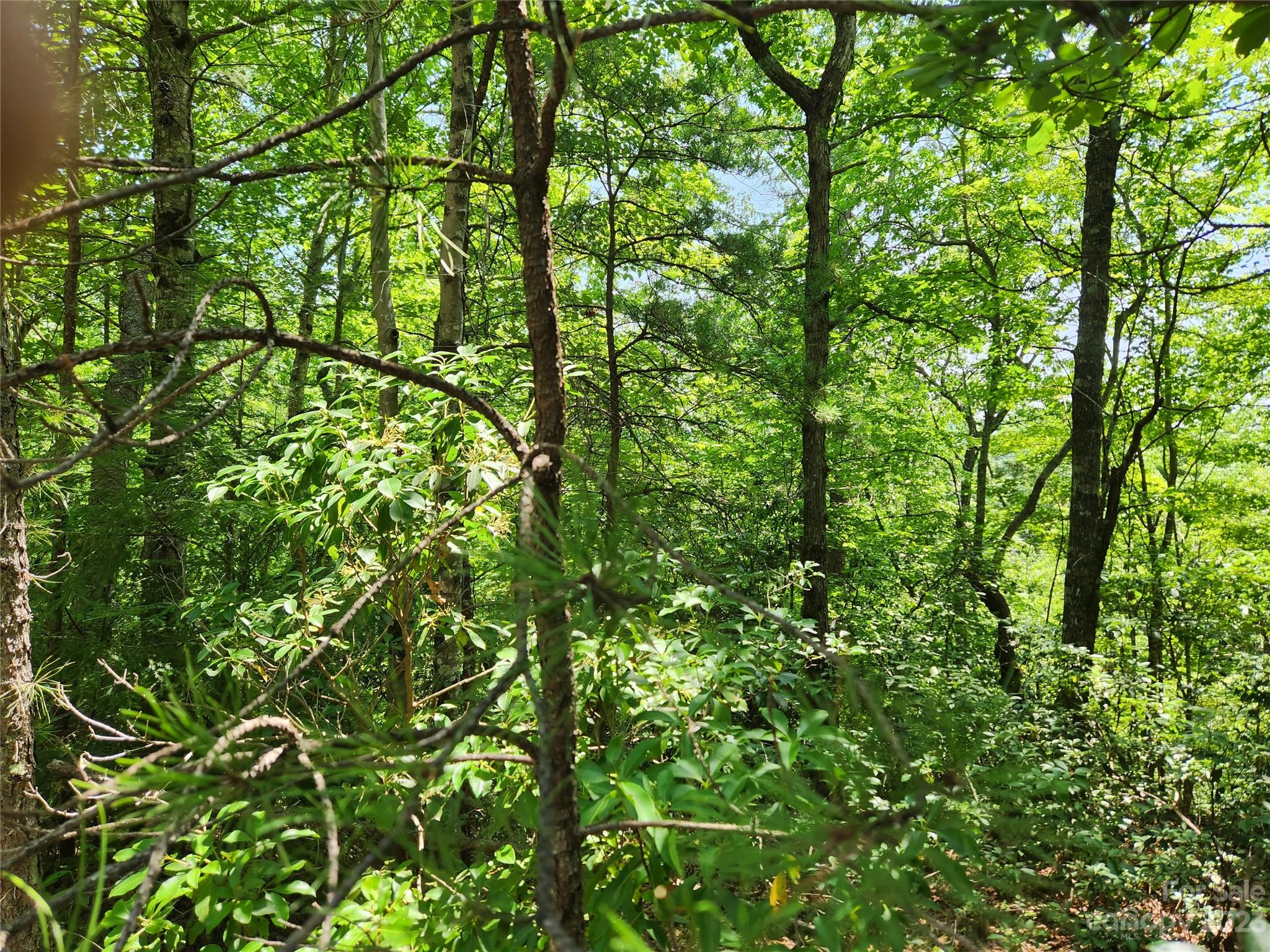 Lot 26-27 Rumbling Bald Road Lake Lure, NC 28746 - Photo 4 of 13 Gallery Image 4