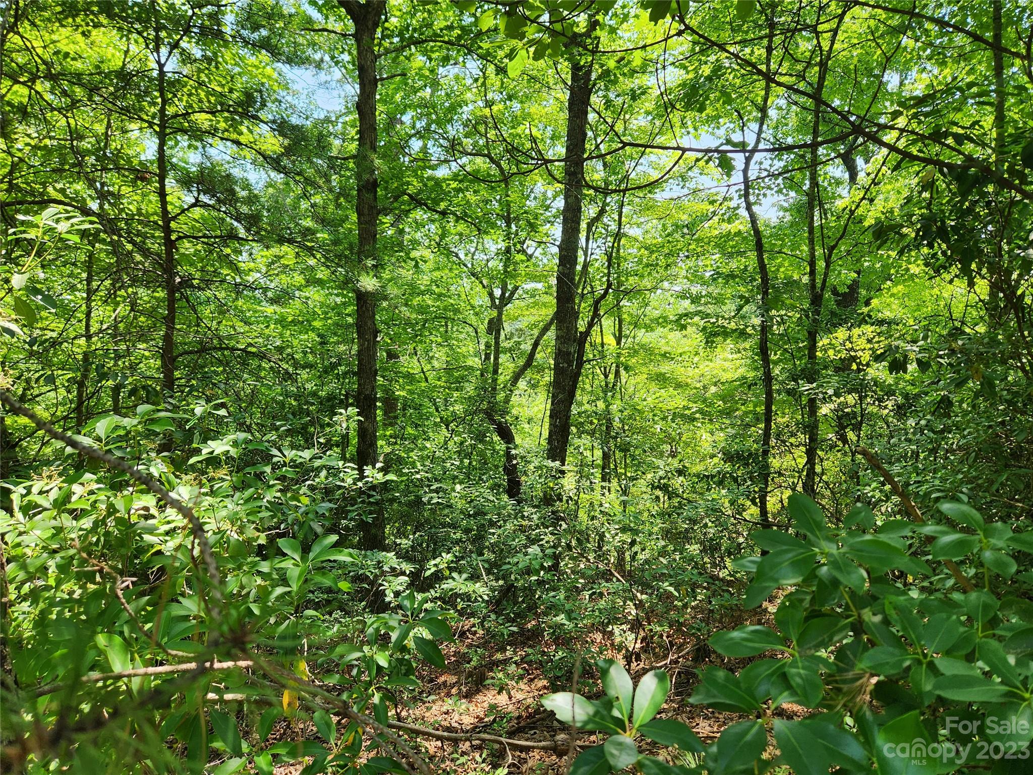 Lot 26-27 Rumbling Bald Road Lake Lure, NC 28746 - Photo 5 of 13 Gallery Image 5