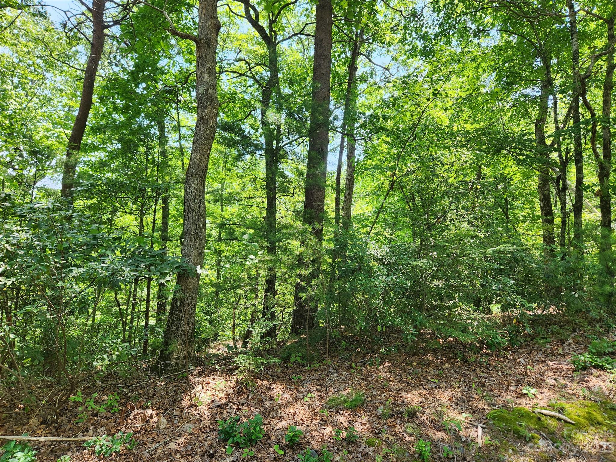 Lot 26-27 Rumbling Bald Road Lake Lure, NC 28746 - Photo 6 of 13 Gallery Image 6