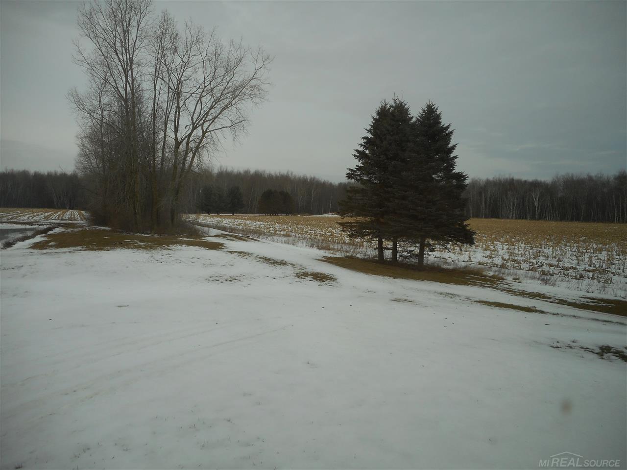 4271 Applegate Road Applegate, MI 48401 - Photo 15 of 20 31370906-14.JPG