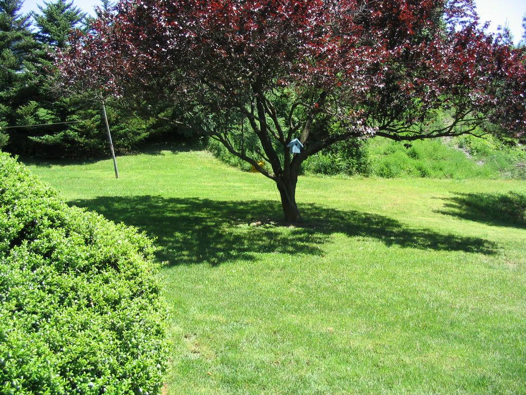 298 Edgemont Road Stroudsburg, PA 18360 - Photo 9 of 11 Listing Photo